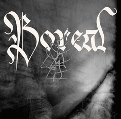 Boreal_20add_20DSC_0803_400w